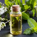 Peppermint Oil Benefits