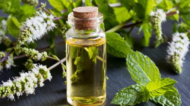 Peppermint Oil Benefits