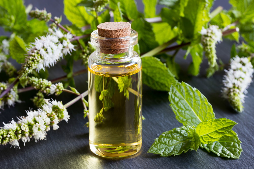 Peppermint Oil Benefits Well Being Secrets peppermint-oil-benefits-well-being-secrets