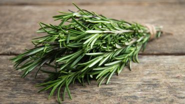 Rosemary-Benefits