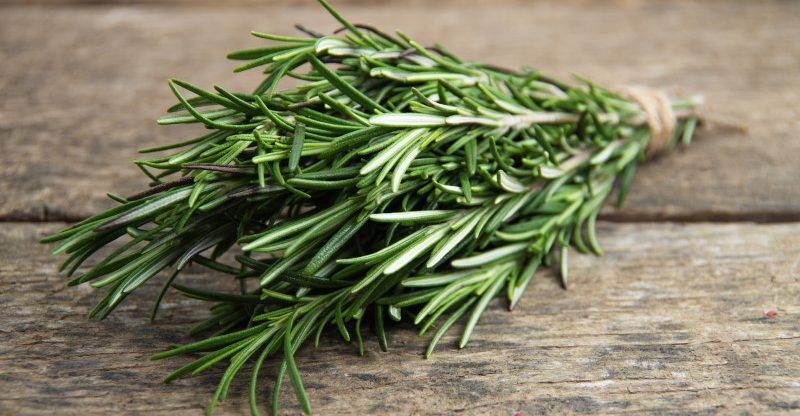 Rosemary-Benefits