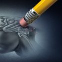 Short-Term Memory Loss