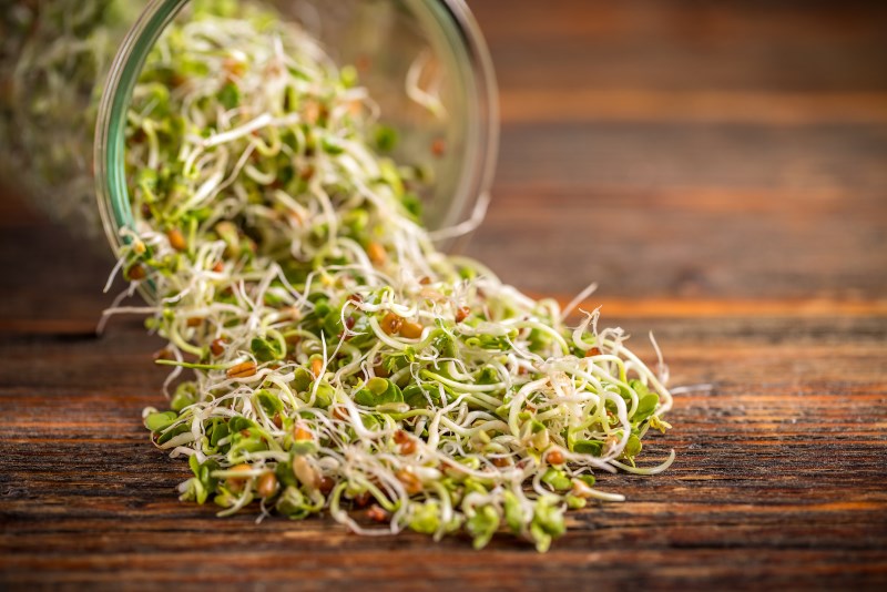 Sprouts can Help You Look Younger