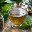Stinging Nettle