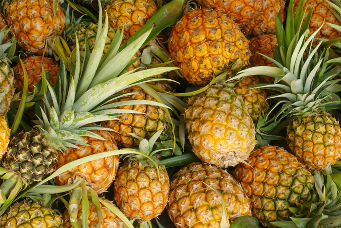 The History Of Pineapple