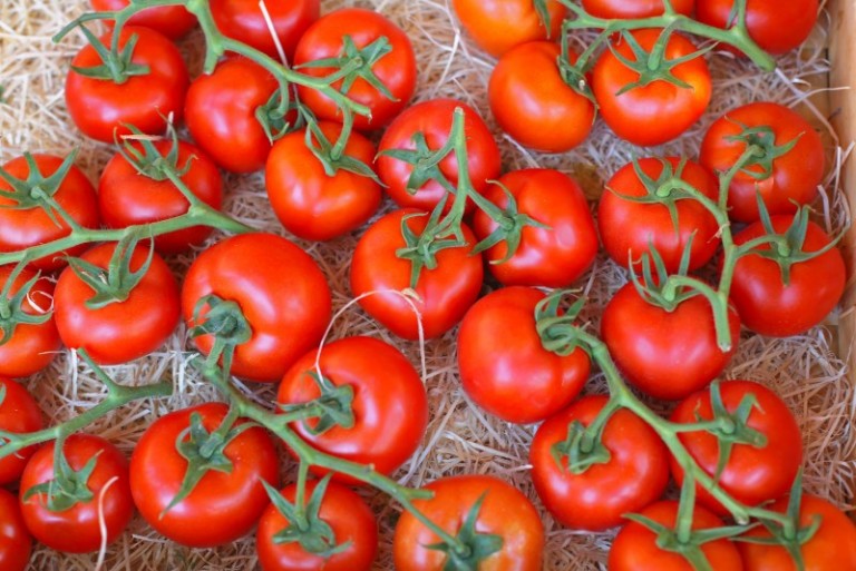 29 EvidenceBased Benefits of Tomatoes WellBeing Secrets