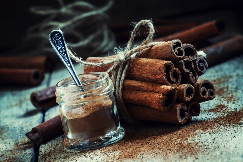 Using cinnamon as an insect repellant