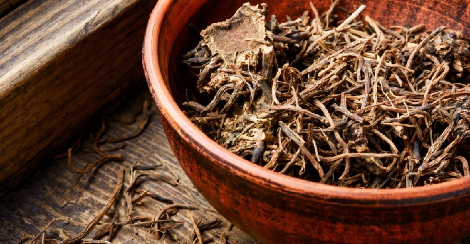 14 ScienceBacked Benefits of Valerian Root WellBeing Secrets
