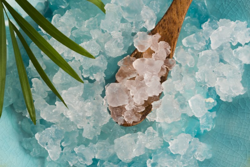 Water kefir grains