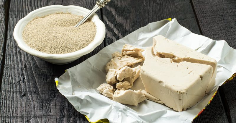 Fresh yeast benefits