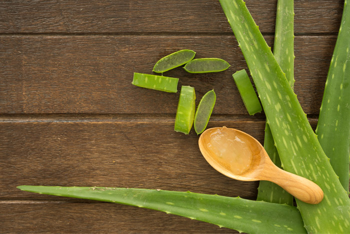 aloe-plant-cut-up-pieces