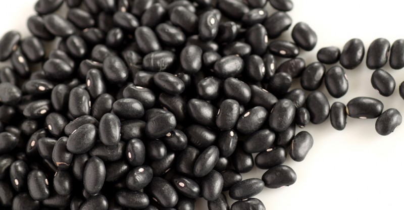 black beans nutrition image 2 800x416 - ZWARTE BONEN GEZONDE EIGENSCHAPPEN EN RISICO'S - GEWICHTS VERLIES - VERSTOPPING - SPIJSVERTERING EN VEROUDERINGS PROCES