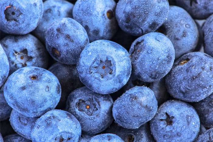 blueberries-superfood