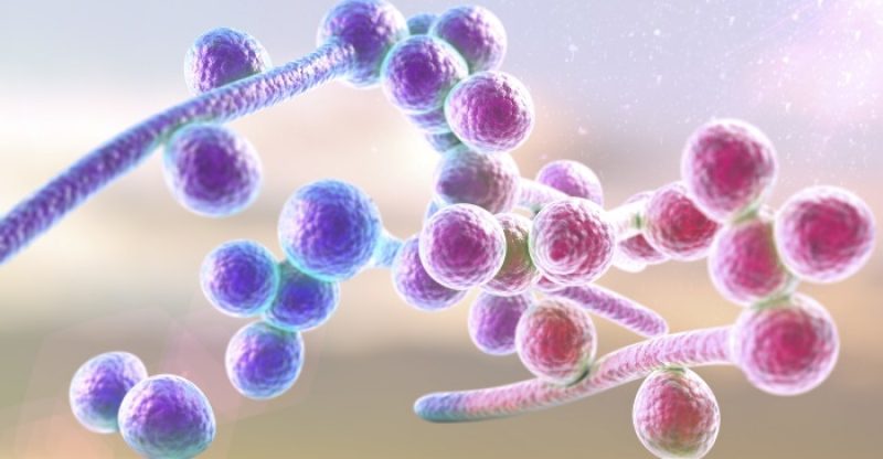 candida-symptoms-treatments-and-remedies