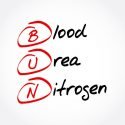 causes-of-low-or-high-blood-urea-nitrogen-bun