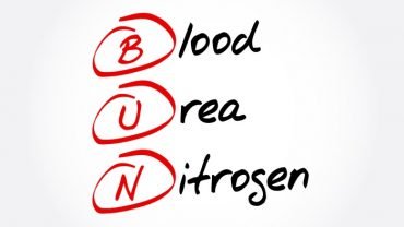 blood urea nitrogen图片