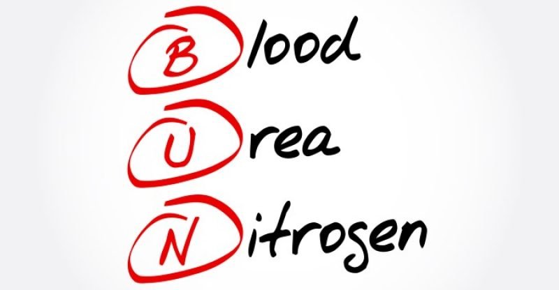 causes-of-low-or-high-blood-urea-nitrogen-bun