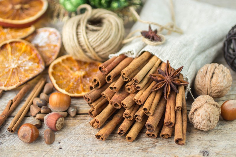 cinnamon Combats neurodegenerative diseases