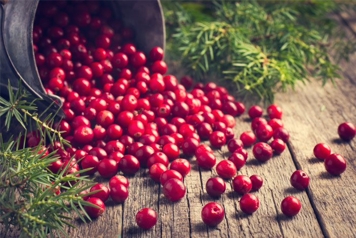 cranberries-as-cholesterol-medecine