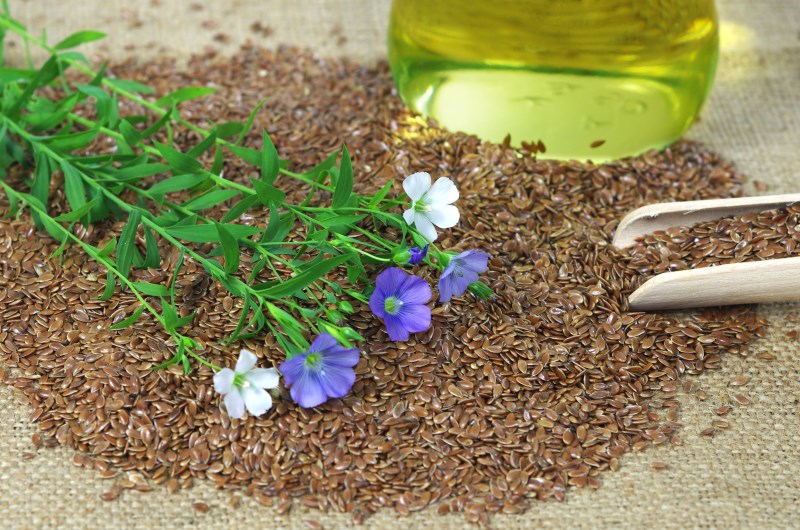 flax seeds are rich in Vitamins and Minerals