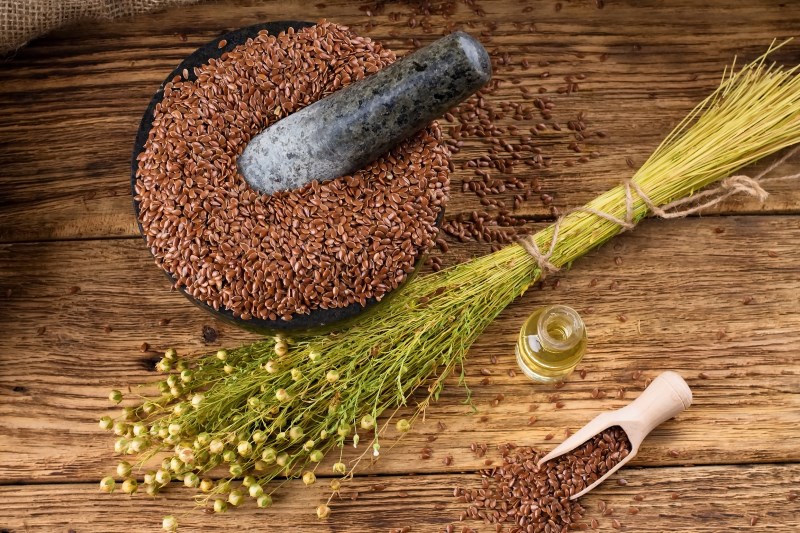 flax seeds are very rich in Lignans