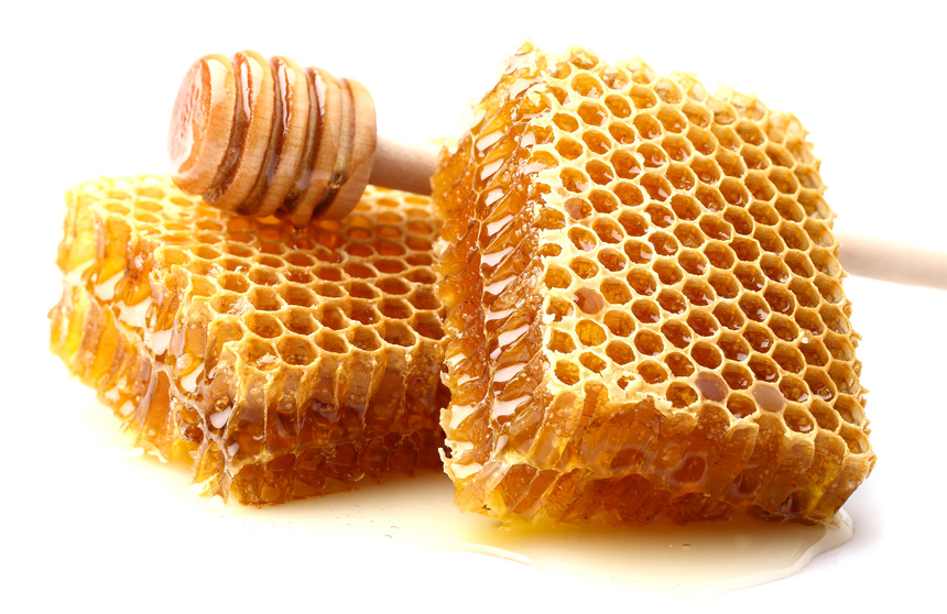 honey protects immune system