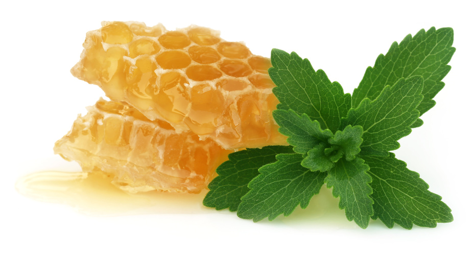 honey as burn medicine