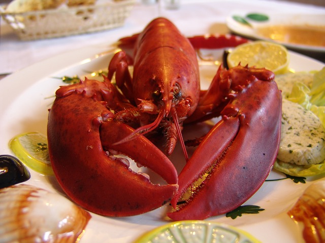 cooked lobster great b12 source