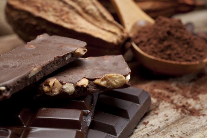 still life of variety of chocolates and cocoa