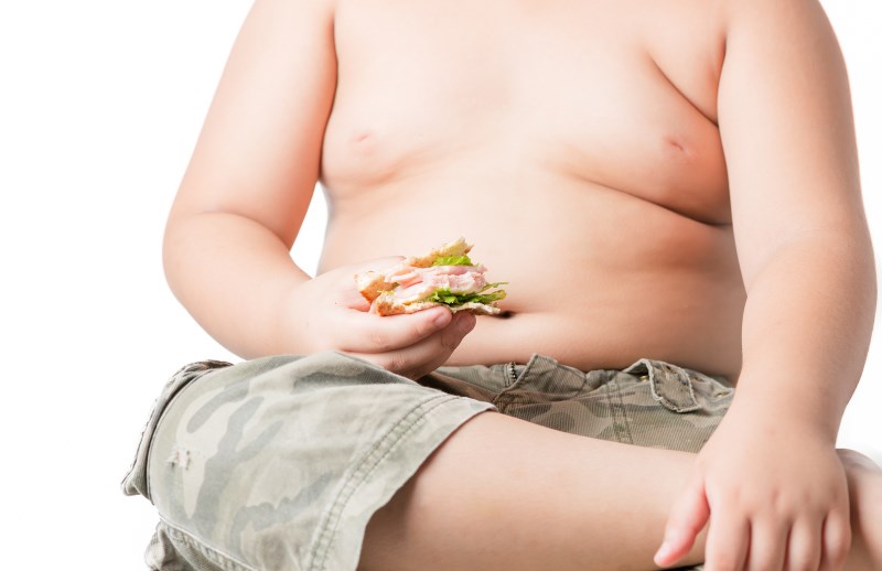 obese kid on white background
