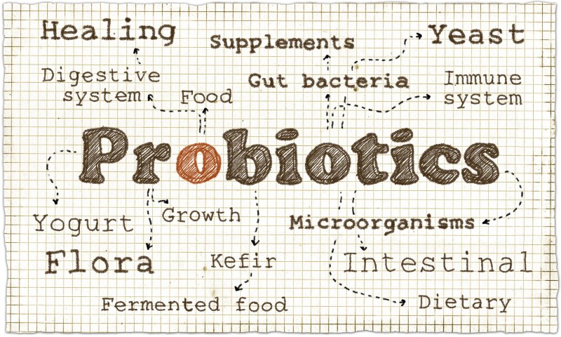 probiotics can make you feel happy