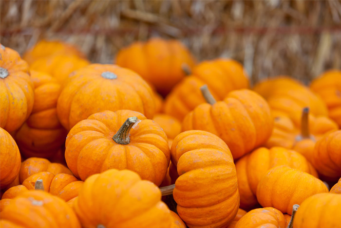 pumpkins-superfood