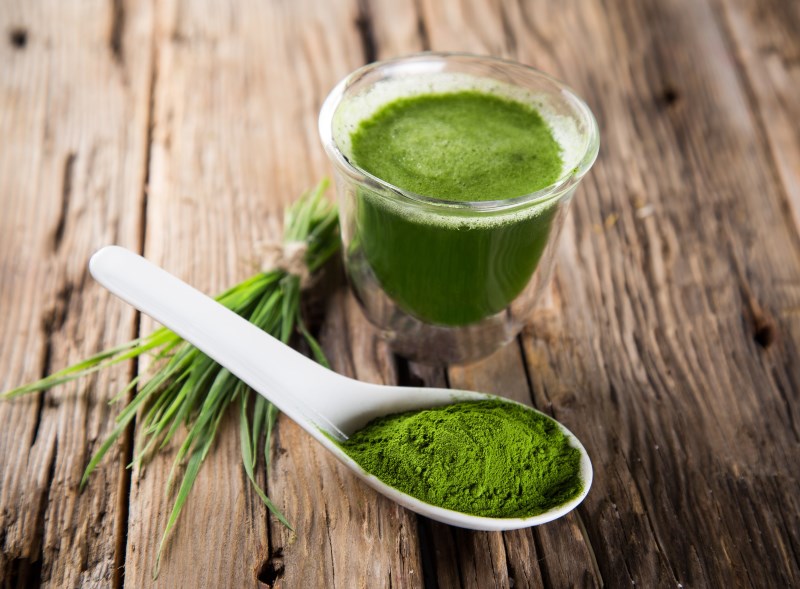 spirulina Reduces Radiation Sickness