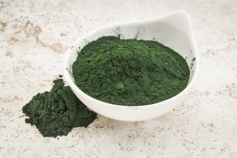 spirulina is Rich in Protein