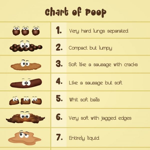 Poop fix reviews consumer reports