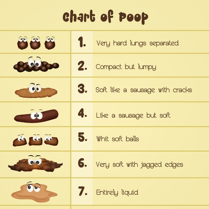 Types of Poop: What’s Healthy and What’s Not – Well-Being Secrets