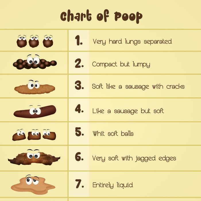 Bowel Consistency Chart