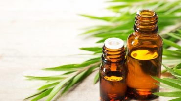 tea-tree-oil-uses-and-benefits