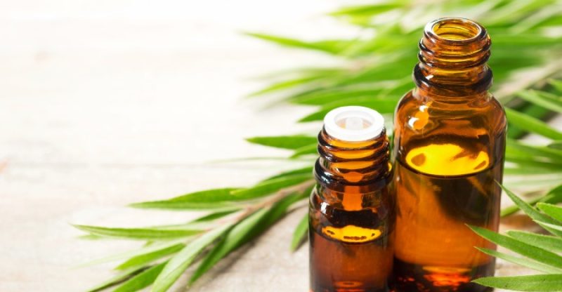tea-tree-oil-uses-and-benefits