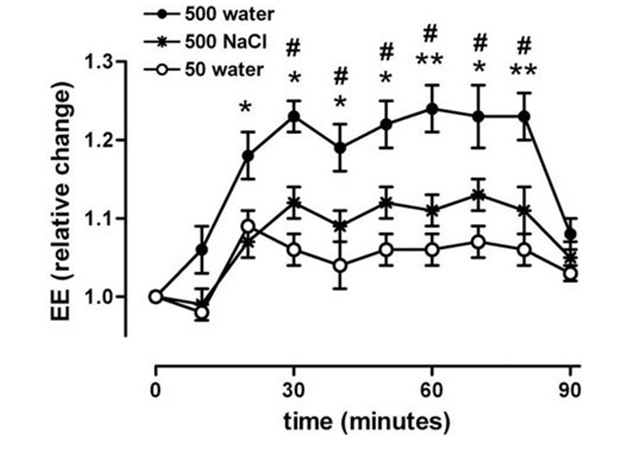 water and weight loss graph